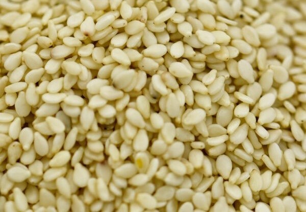 Sortex white sesame seeds